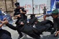 بالفيديو: الشرطة تعتدي بالضرب على الحارديم أثناء تظاهرتهم أمام المستشفى الفرنسي بيافا